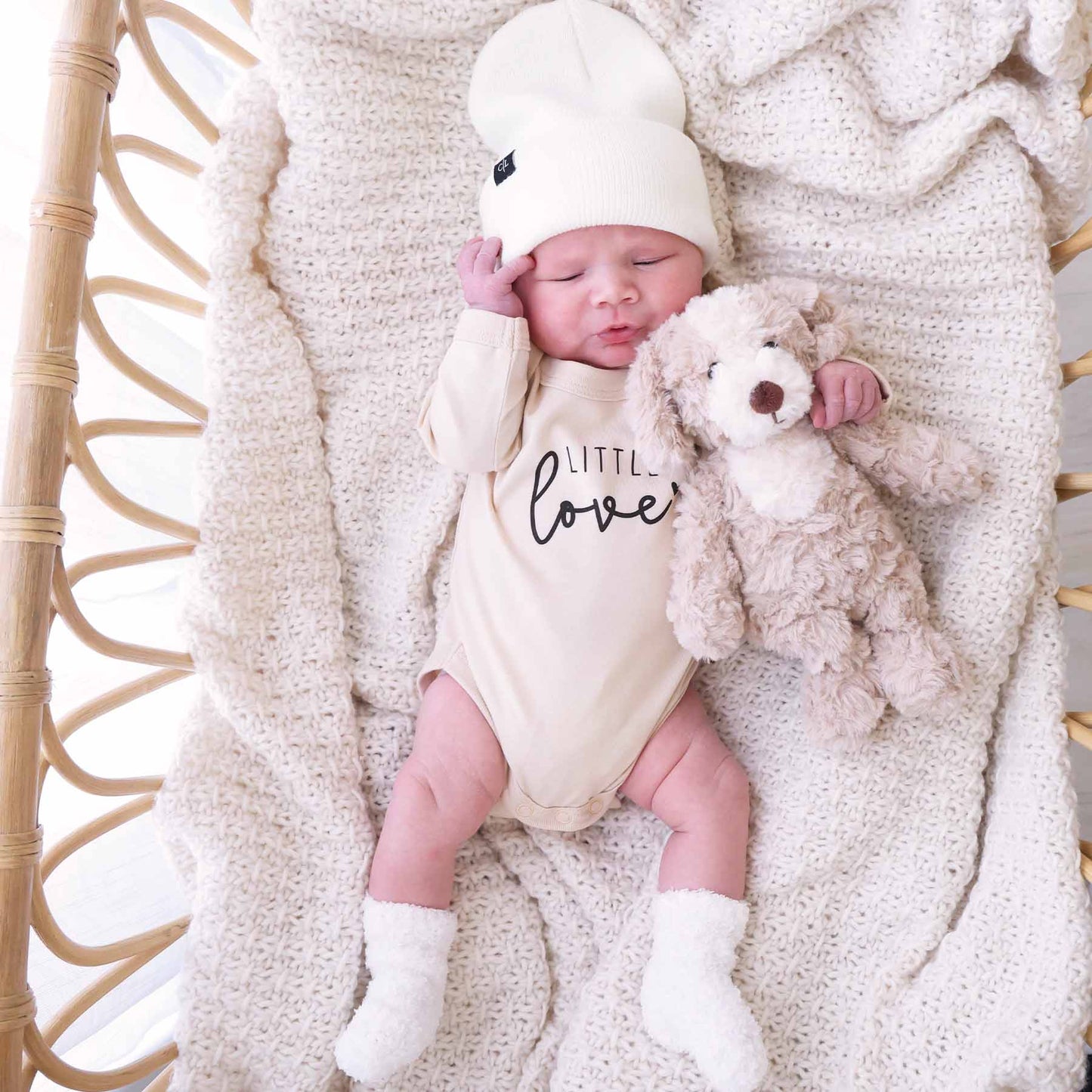 Cuddle Plush Friends: Bodhi Bear